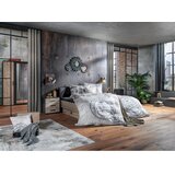 Ambia Home STENSKA URA CB151244 rjava Slike