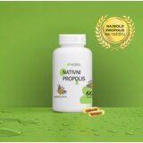 Hedera Nativni Propolis, 100% prirodno rješenje za jači imunitet, 60 kapsula Cijene