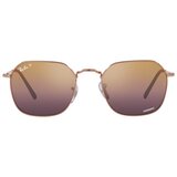 Ray-ban jim Naočare za sunce RB 3694 9202/G9 Cene