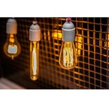  industrijska dekorativna prigušiva sijalica seleby ST64 E27/40W/230V 2200K | Eponuda.com