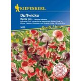 KIEPENKERL Dišeča Grašica "Ripple Mix" Cene