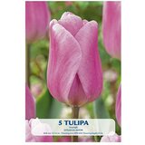  Cvjetne lukovice Tulipan Synade Amor (Roza, Botanički opis: Tulipa) | shoptok.hr