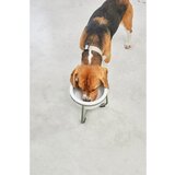 MiaCara Porculanska posuda s postoljem za pse ø 20 cm Pranzo Grolive M – | shoptok.hr