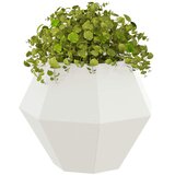  Sadilica 2 pcs Bijelo 50 x 50 x 40 cm Čelik | shoptok.hr