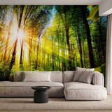  Foto tapeta - Forest Hideout 343x256 | shoptok.hr