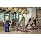 Gogen GOGBPS738 Party Bluetooth zvočnik | Shoptok.si