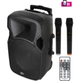 Zvočnik,set,2xmikrofon,ojačevalec,daljinec,11.1V baterija - PAB 31BT