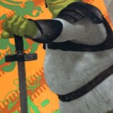 HOBBY Shrek dekica 130×160 | Eponuda.ba