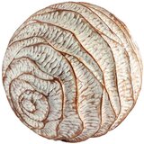 Signes Grimalt Kipci in figurice Ornament Bola Kostanjeva | Shoptok.si