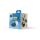 Ototo Blossom Flower Holder | shoptok.hr
