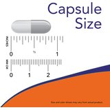 Now Foods Ašvaganda NOW, 450 mg (90 kapsul) cene