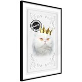  Poster - Cat Rules II 20x30 Cijene