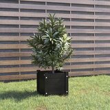 vidaXL Vrtna sadilica crna 31 x 31 x 31 cm od masivne borovine Cijene