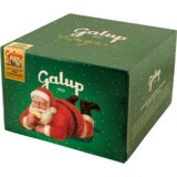 Galup Panettone s hruškami in čokolado Gran - 500 g Cene