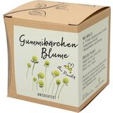 naturkraftwerk Pridelovalni komplet za Cephalophora Aromatica | Shoptok.si