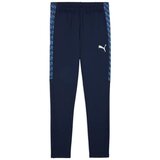 Puma Spodnji deli trenirke TeamLIGA26 Modra Cene