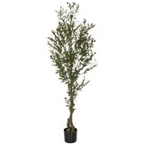 MID.YOU Umetna Rastlina Olive I | Shoptok.si