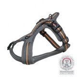 Fusion am S-M 45-54cm/20mm Grafit Narandžasta Cene