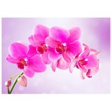  Samoljepljiva foto tapeta - Thoughtfulness 98x70 | shoptok.hr