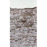 XXXL FOTOTAPETA Cene