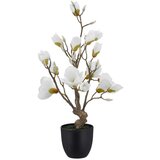 Mömax Magnolija Magnolie I -Paz- | Shoptok.si