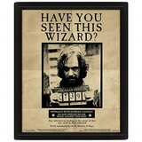 Pyramid International Harry Potter Sirius Black 3d lentikularni plakat 25 cm x 20cm x 1,3cm v okvirju škatle - uradno blago, (20834485) Cene