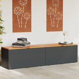 The Living Store Vrtna škatla za shranjevanje črna 220x50x54 cm PE ratan akacija - Vrtna Škatla Za Shranjevanje, (21459400) Cene