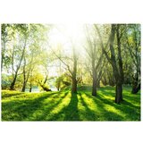  Samoljepljiva foto tapeta - Sunny May Day 245x175 | shoptok.hr