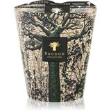Baobab Collection Sacred Trees Kani dišeča sveča 16 cm Cene
