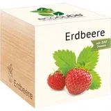 ecocube "Jagoda"