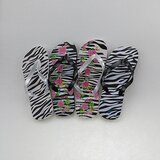 Olimp Sport Japanke zenske 180009ABCD Cene