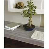 D-C-Fix Samoljepljiva folija Sheffiled oak (drvo) 0,45x1,5 m | shoptok.hr