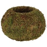 Esschert Design Posuda za cvijeće ø 14,5 cm Kokedama – | shoptok.hr