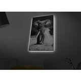 Opviq slika na platnu sa LED osvetljenjem 45x70cm | ePonuda.com