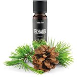 Stadler_Form Recharge Jedle & Borovice esencijalno ulje 10 ml | shoptok.hr