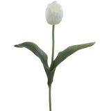  TULIPAN BIJELI 46CM | Eponuda.ba