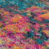 Flair Rugs Ročno tkana preproga 200x290 cm Abstraction – | Shoptok.si