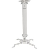 TECHly Projector Ceiling Support Extension 380-580 mm Silver ICA-PM 18S | shoptok.hr