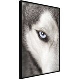  Poster - Azure Eye 30x45 | shoptok.hr