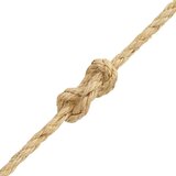 vidaXL Uže od 100 % sisala 10 mm 50 m | shoptok.hr