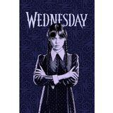 Jerry Fabrics Tamno plava deka za bebe od flisa 100x150 cm Wednesday – | shoptok.hr