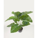 Kave Home Umetna rastlina (višina 57 cm) Odora – | Shoptok.si