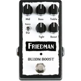 Friedman Buxom Boost