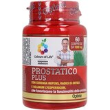 Optima Naturals Prostatico plus - 60 kapsula | shoptok.hr