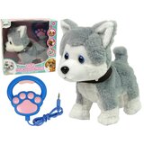 Lean_Toys Plišasti Husky Dog Interaktivne izobraževalne pesmi na povodcu Sprehodi | Shoptok.si