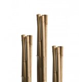 Windhager Oporna palica Tonkin (Ø x V: 0,7 x 90 cm, 7 kos) | Shoptok.si