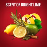 Old Spice Citron čvrsti dezodorans za muškarce 50 ml | shoptok.hr