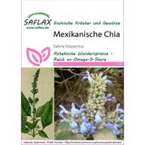  Chia | Shoptok.si