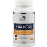 American Biologics Nukleotidi - 90 kaps. | Shoptok.si
