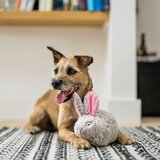 Play Pseća igračka Rabbit – | shoptok.hr